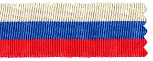 Изображение награды : медаль "За труды по первой всеобщей переписи населения"
