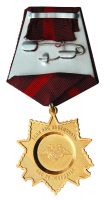 Изображение награды : нагрудный (наградной) знак "Наша победа"